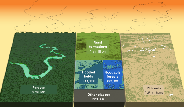 A stylized treemap chart in a slanted isometric view shows the areas of different land use categories that have been burned in Amazon fires. Forest formations is the biggest group, followed by pastures and rural formations.
